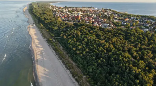Piękna plaża i las nad morzem. Szukasz miejsca, gdzie najtaniej nad morzem? Ten widok może być inspiracją do wakacji.