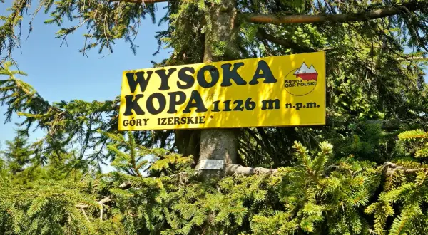 Żółta tablica na drzewie informuje: Wysoka Kopa, 1126 m n.p.m., Góry Izerskie. To najwyższy szczyt gór izerskich.