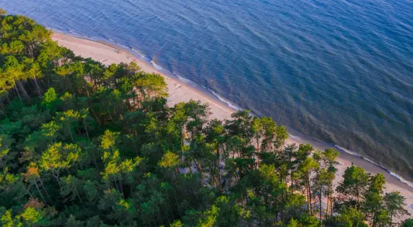 Piękna plaża nudystów Polska, otoczona sosnowym lasem, z łagodnymi falami Bałtyku.