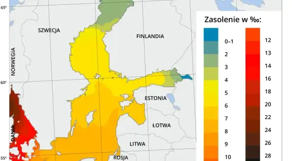 Mapa zasolenia Bałtyku. Najwięcej jodu jest w wodach Danii i Niemiec, gdzie zasolenie jest najwyższe (czerwone i brązowe barwy).