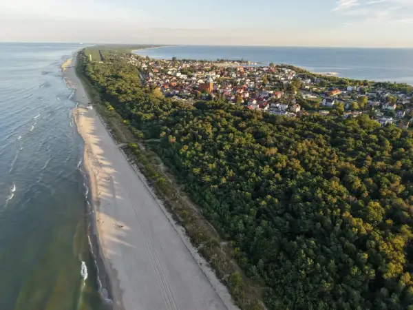 Piękna plaża i las nad morzem. Szukasz miejsca, gdzie najtaniej nad morzem? Ten widok może być inspiracją do wakacji.