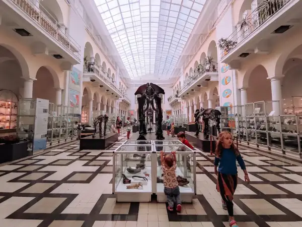Dzieci odkrywają tajemnice prehistorii w warszawskim muzeum. Szkielety mamutów i dinozaurów budzą zachwyt.