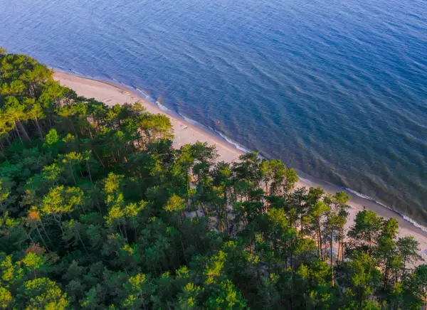 Piękna plaża nudystów Polska, otoczona sosnowym lasem, z łagodnymi falami Bałtyku.